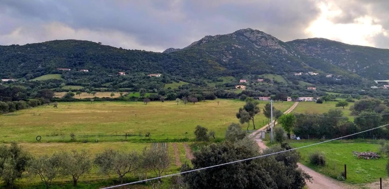 Casetta Francy San Teodoro  Bagian luar foto