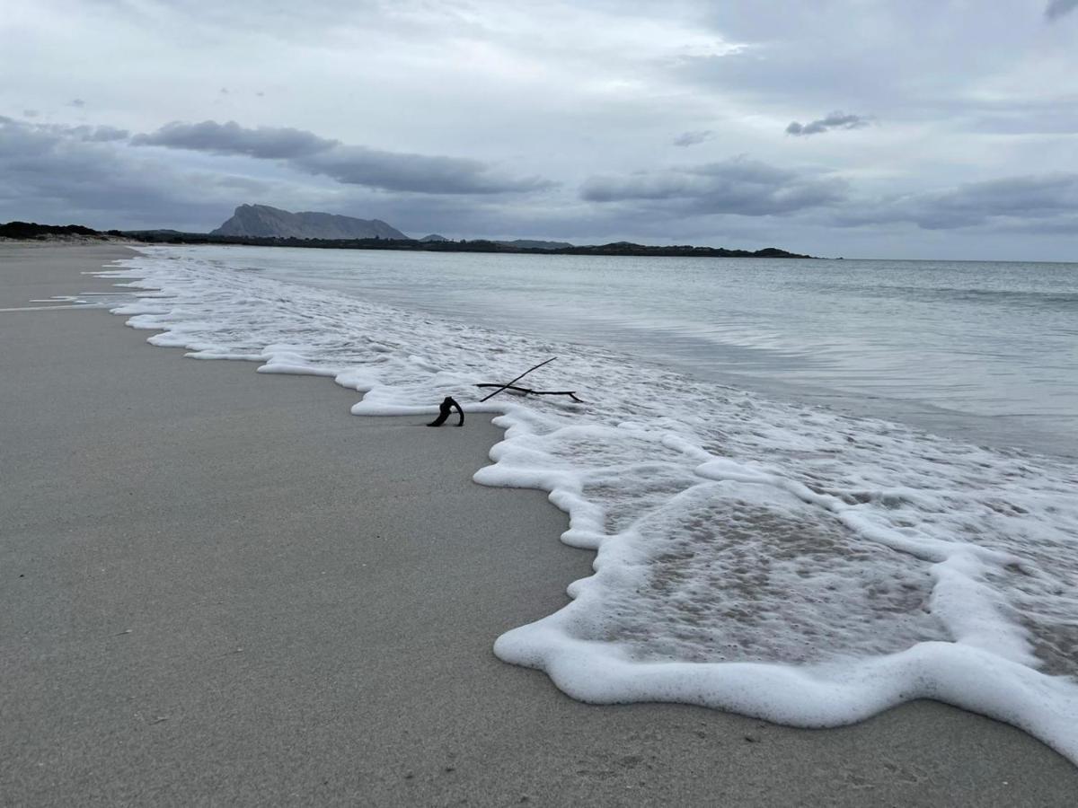 Casetta Francy San Teodoro  Bagian luar foto